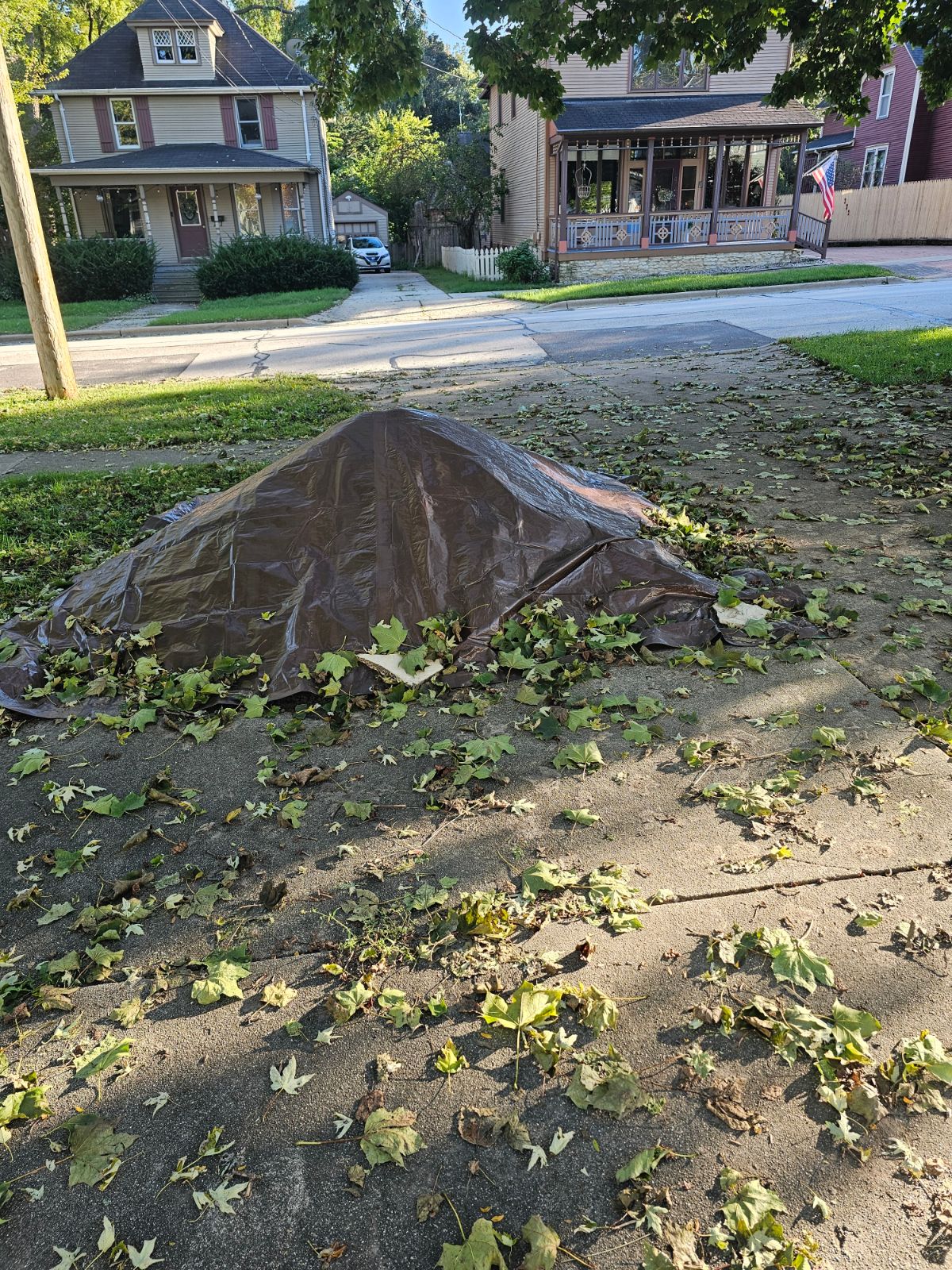 Topsoil available in Chicago — photo 3