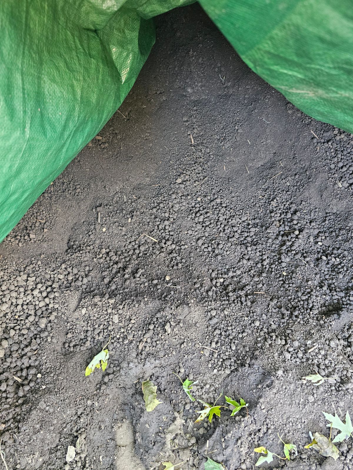 Topsoil available in Chicago — photo 2