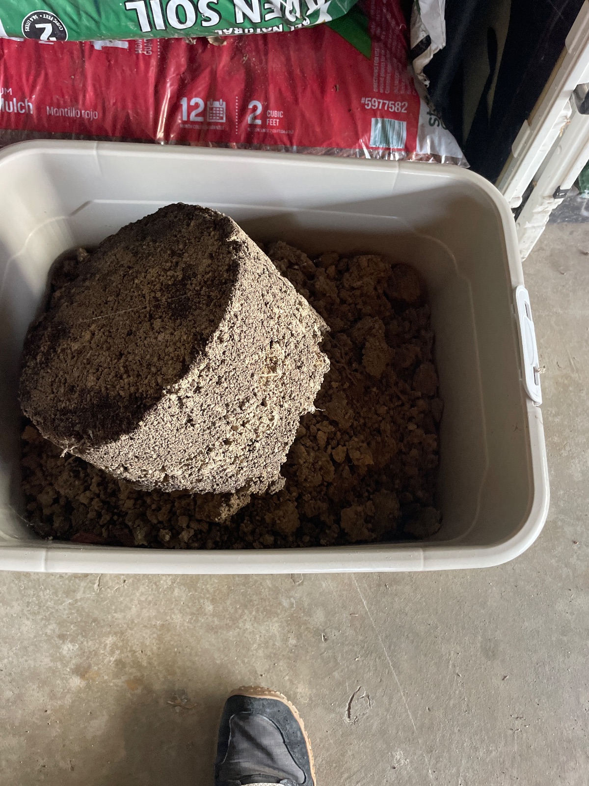 Clay available in Lansing — photo 2